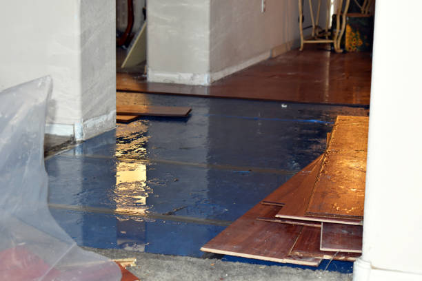 Professional Water Damage Restoration technician working in Dunbridge, OH